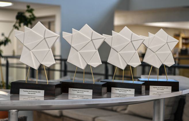 France Paratonnerres gana el premio “Elles rayonnent / Ellas brillan” en los premios de las empresas de Haute-Vienne 2021.