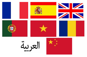 Drapeaux des langues disponibles pour l'article paratonnerre certifié UL